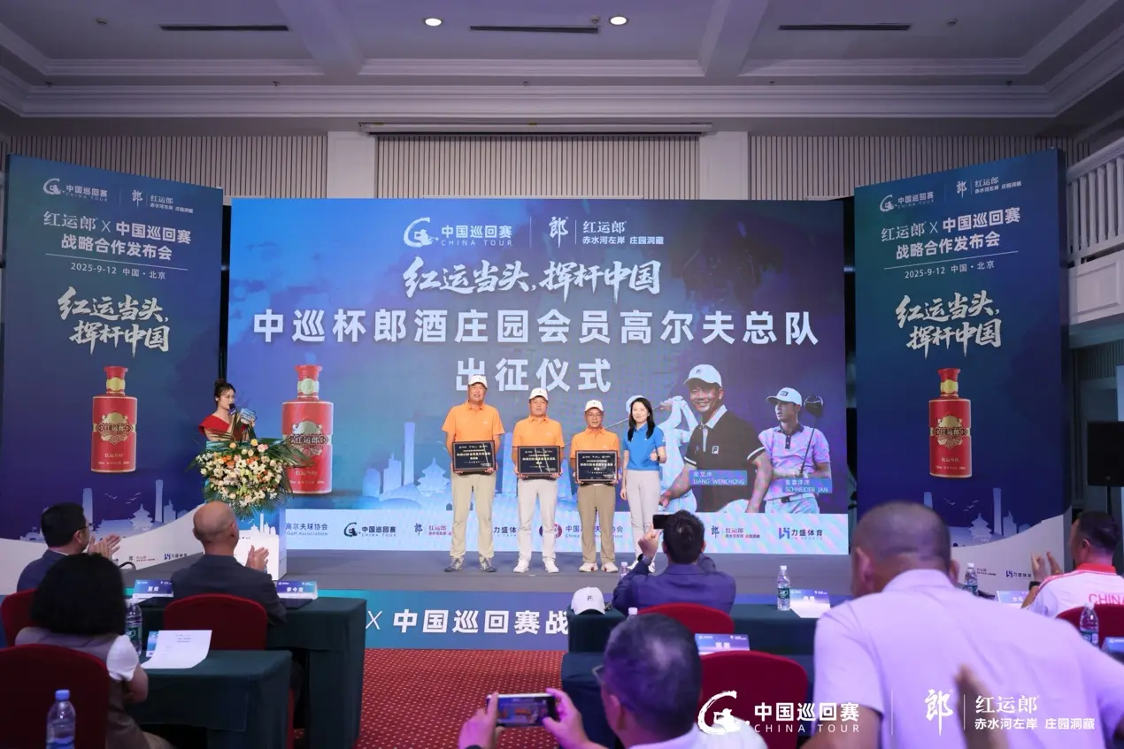 名合作伙伴, amp, src