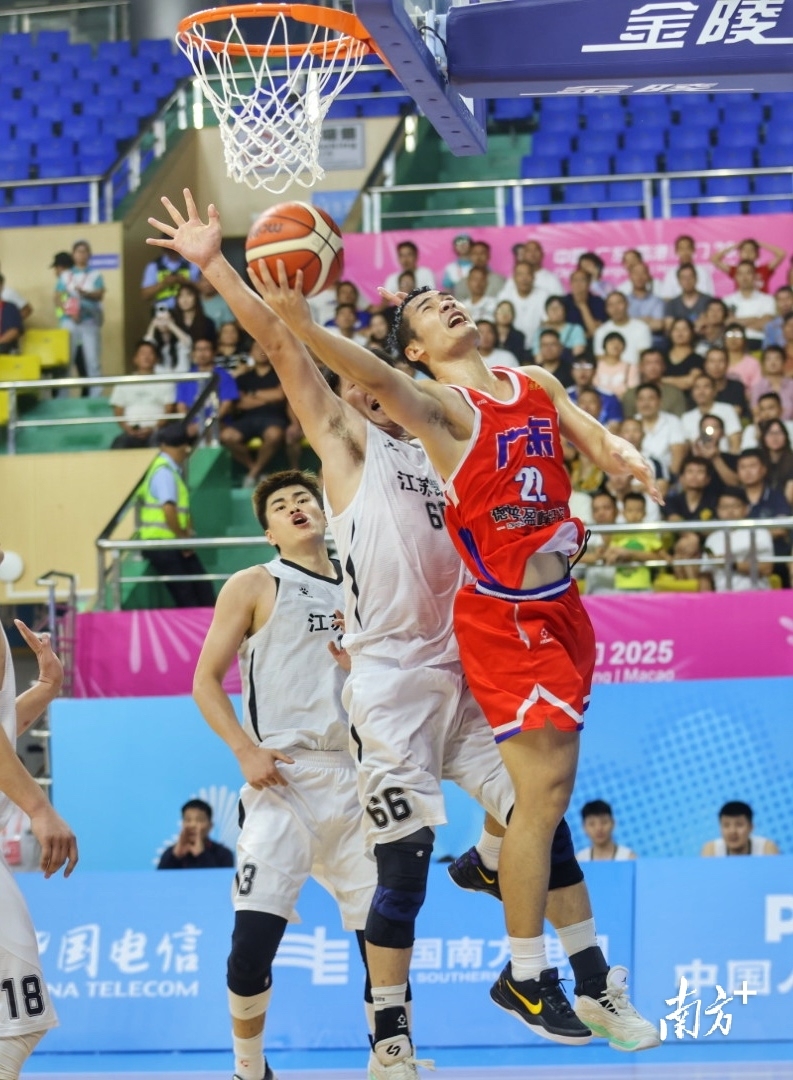 tleid, msn tleid, msn